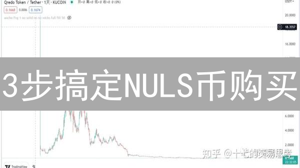 3步搞定NULS币购买：新手也能轻松上手的秘籍