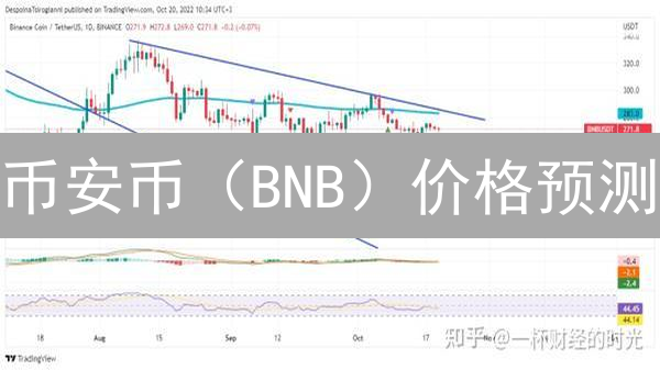 币安币（BNB）价格预测：多重因素分析与投资策略分享