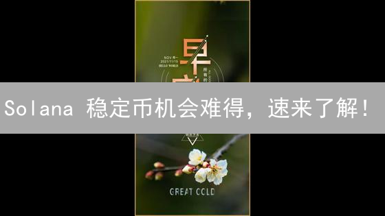 Solana 稳定币机会难得，速来了解！